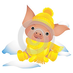 Little pig in a scarf sitting in a snowdrift. Vector illustration.