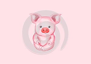 Little Pig Simbol Happy Chinese New Year. Isolated on pink
