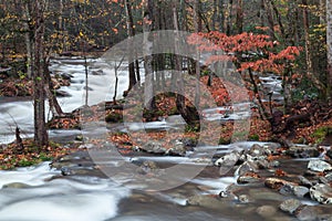 Little Pigeon River at the end of Autumn in Greenbrier in the Great Smoky Mountains
