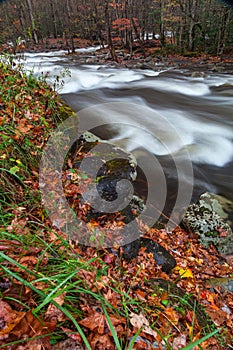 Little Pigeon River at the end of Autumn in Greenbrier in the Great Smoky Mountains