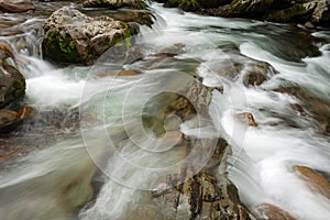 Little Pigeon River Rapids Great Smoky Mountains