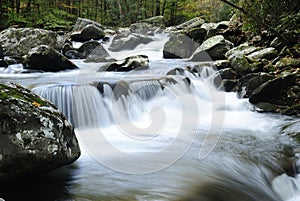 Little Pigeon River in Smoky Mountains