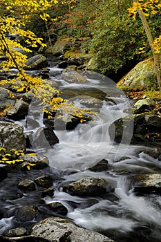 Little Pigeon River at Tremont in Great Smoky Mountains