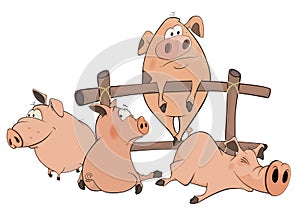 Little pigs cartoon