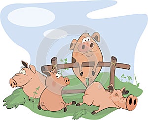 Little pigs cartoon