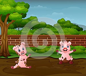Little pigs playing mud in dirty puddle