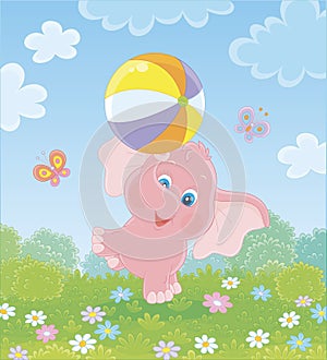 Little pink elephant playing with a ball