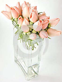 Little pink roses bouquet on vase