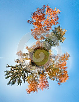 Little planet - autumn forest globe