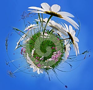 Little planet with flowers