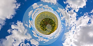 Little planet projection of 360 degree spherical panorama of summer day blossomong yellow rapseed colza field