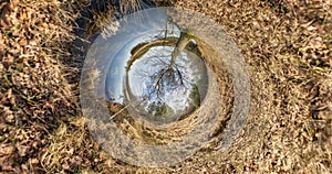 Little planet Transformation with curvature of space. Abstract rotate, torsion and spinning of full flyby panorama in autumn oak f