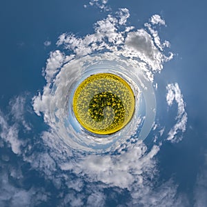 Little planet transformation in rapeseed field of spherical panorama 360 degrees in spherical abstract aerial view with awesome