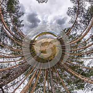 Little planet transformation of spherical panorama 360 degrees. Spherical abstract aerial view in forest. Curvature of space