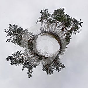 Little planet transformation of spherical panorama 360 degrees. Spherical abstract aerial view in winter forest. Curvature of