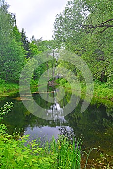 A little pond in Dendrology garden in Pereslavl-Zalessky city