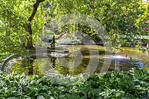 Little pond in Karlovy Vary, Czech Republic photo