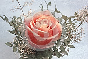 Little posy with rose flower, sweet cleaver and blueberry leaves