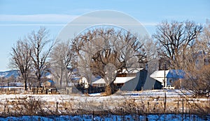 Little Prairie Farm in Winter