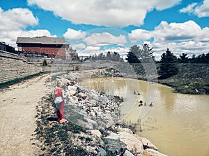 Little preschool girl child feeding ducks geese by pond. Countryside rural village. Kid watching wild life birds animals outdoors