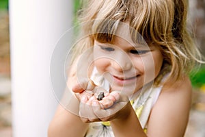 Little preschool girl holding small wild frog. Happy curious child watching and exploring animals in nature.