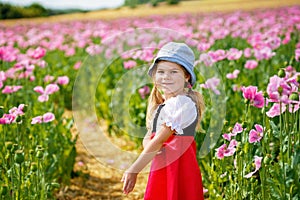 Little preschool girl in poppy field. Cute happy child in red riding hood dress play outdoor on blossom flowering meadow