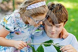 Little preschool girl and school kid boy watch caterpillar climb on plant. Happy excited children, siblings, brother and