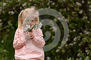 Little Preschool girl with two tails enjoy spring apple blooming. Springtime. Pretty girl in flowering garden