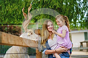 Little preschool girl and woman feeding goat. Happy excited child and mother feeds animals a wildlife park. Family