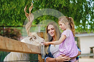 Little preschool girl and woman feeding goat. Happy excited child and mother feeds animals a wildlife park. Family