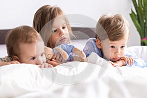 Little Preschool Toddler Minor Children Siblings Kids Watch Cartoon Use Smartphone Phone Device Together. Baby In Pajama