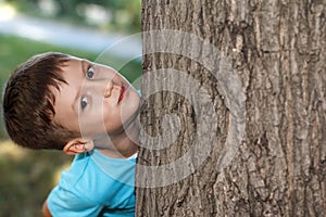 Little preschooler boy hide-and-seek