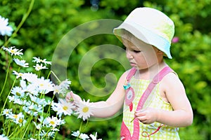 Little preschooler girl playing in flower garden