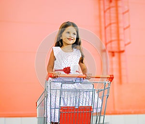 Little pretty girl in dress in shopping cart