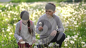 Little pretty girl and her brother in green field are playng with dandelions. Children in country. Beautiful flora