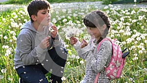 Little pretty girl and her brother in green field are playng with dandelions. Children in country. Beautiful flora
