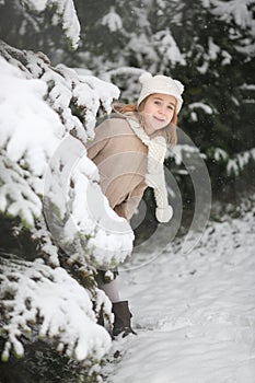 A little pretty girl looks out from behind a Christmas tree. Walk in the winter forest. A pleasure for the child