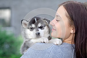 Little pretty husky puppy outdoor in womans hands