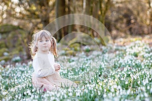 Little pretty toddler girl in a field of snowdrops. A child walks in the spring forest on sunny day. Happy kid admires