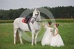 Little princess with white horse in summer field