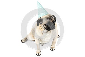 A little pug in a funny festive hat sits apart his paws and looks away. Isolated on white background.