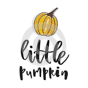 Little pumpkin. Hand drawn vector illustration. Autumn color poster. Good for scrap booking, posters, greeting cards, banners, tex