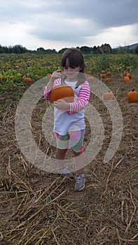 Little Pumpkin Picker