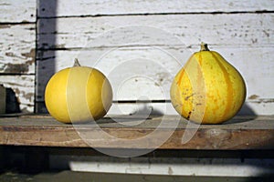 Little pumpkins over a dusty ruined shelf