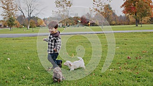 Little puppies running after a boy, having fun on the lawn