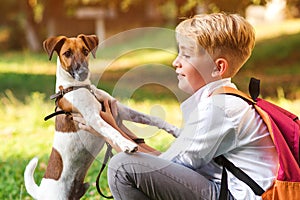 Little puppy jack russel terrier on the walk with owner. Boy after school having fun his dog outdoors