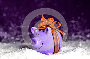 Little purple piggy with a Orange bow