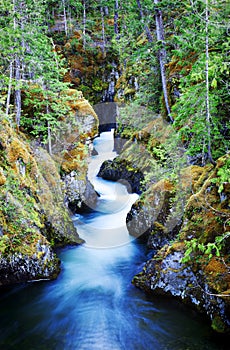 Little Qualicum Falls Provincial Park