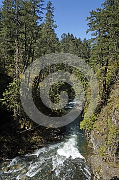 Little Qualicum Falls Provincial Park, British Columbia