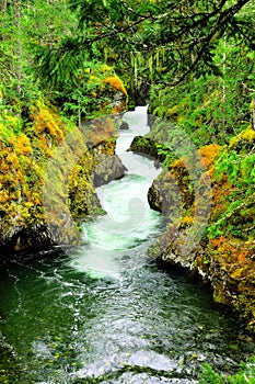 Little Qualicum Falls Provincial Park, Vancouver Island, Canada